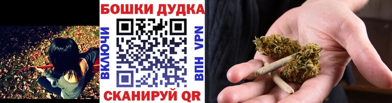 Бошки Шишки сатива Реж